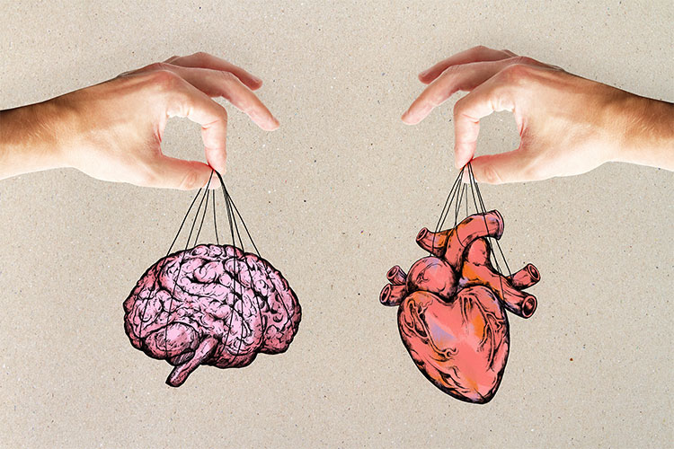 Ręcę trzymające papierowe serce i mózg | Lipiforma